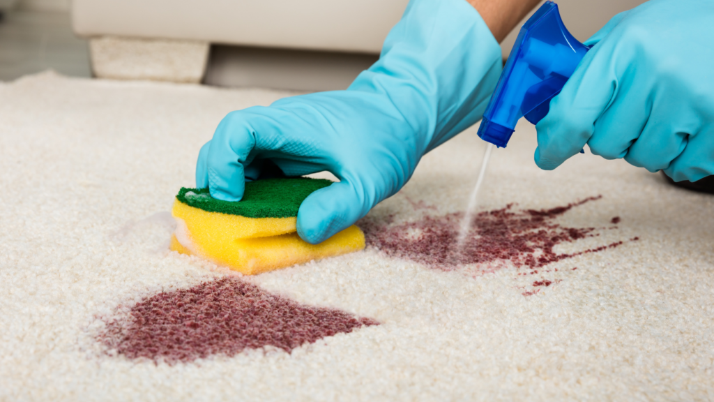 dry cleaners for stain removal